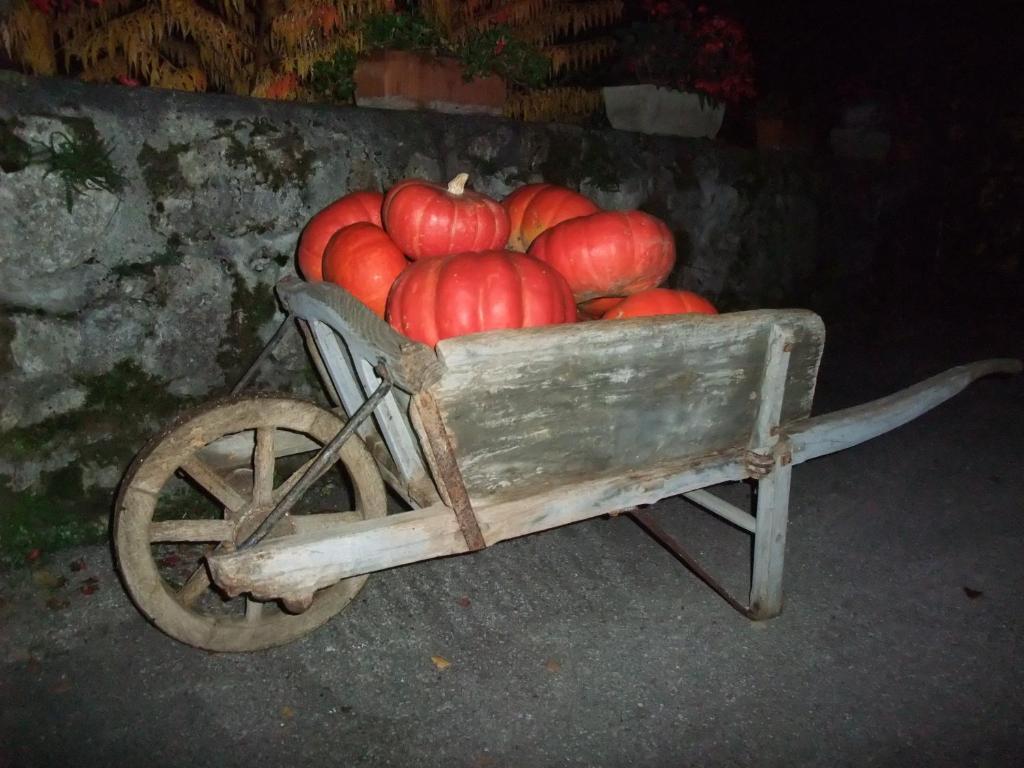 Domaine Du Grand Cellier - Insolite En Savoie Tournon Luaran gambar